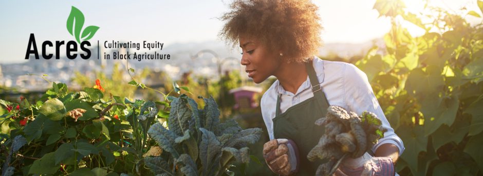 Picture of Black woman farming in a green apron.