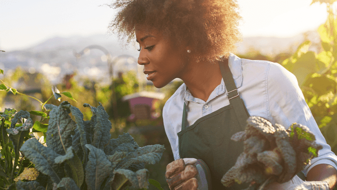Acres Cultivating Equity in Black Agriculture Feature Image Acres Header Image