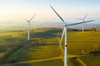 Photo of windmills on a green field.